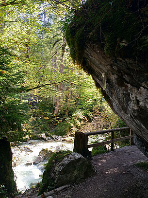 Schlucht im Zauberwald