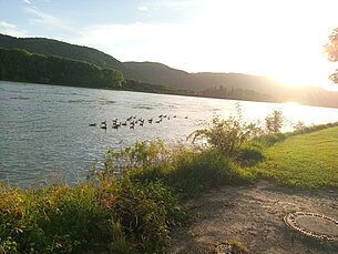 Sommerliche Stimmung am Rhein bei Leutesdorf Sommerliche Stimmung am Rhein bei Leutesdorf